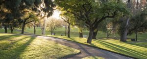 generic-park_870_350_s_c1 - generic park 870 350 s c1 300x121