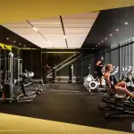 Zorra-Gym