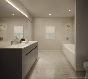 STC-Bathroom-2-dl - STC Bathroom 2 dl 300x270