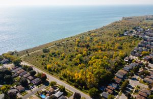 Park and Lake - Aerial - Park Lake Aerial 300x194