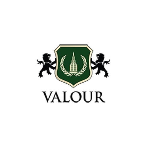Valour Capital Inc