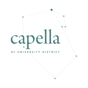 Capella_Logo - Capella Logo 300x300