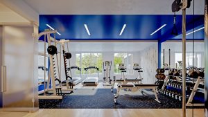 (9) Gym - 9 Gym 300x169