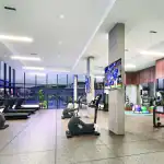 Gemini-Gym-scaled