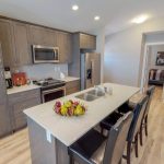 The Park in Garden Heights – The Terra Nova – Kitchen