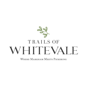 Trails of Whitevale - Logo - Trails of Whitevale Logo 300x300