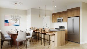 Livingston Towns - Kitchen - Livingston Towns Bergen Neo Kitchen 300x169