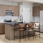 1700075146-Rohit-Dallas-Neo-Kitchen