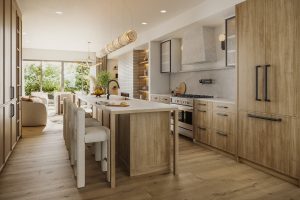 The Winston Collection - Kitchen - TheHudsonDetached Kitchen 300x200