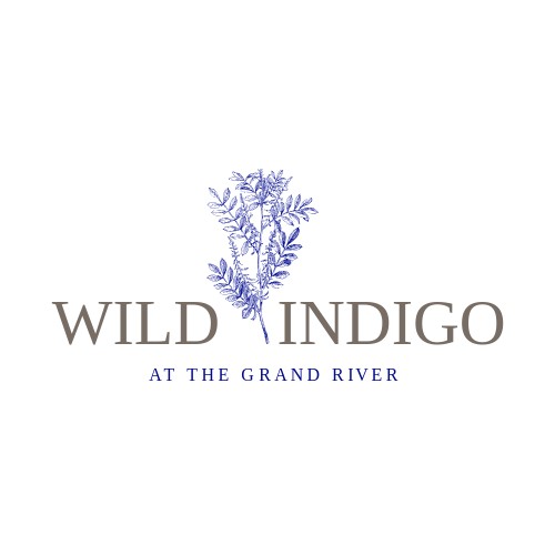 Wild Indigo