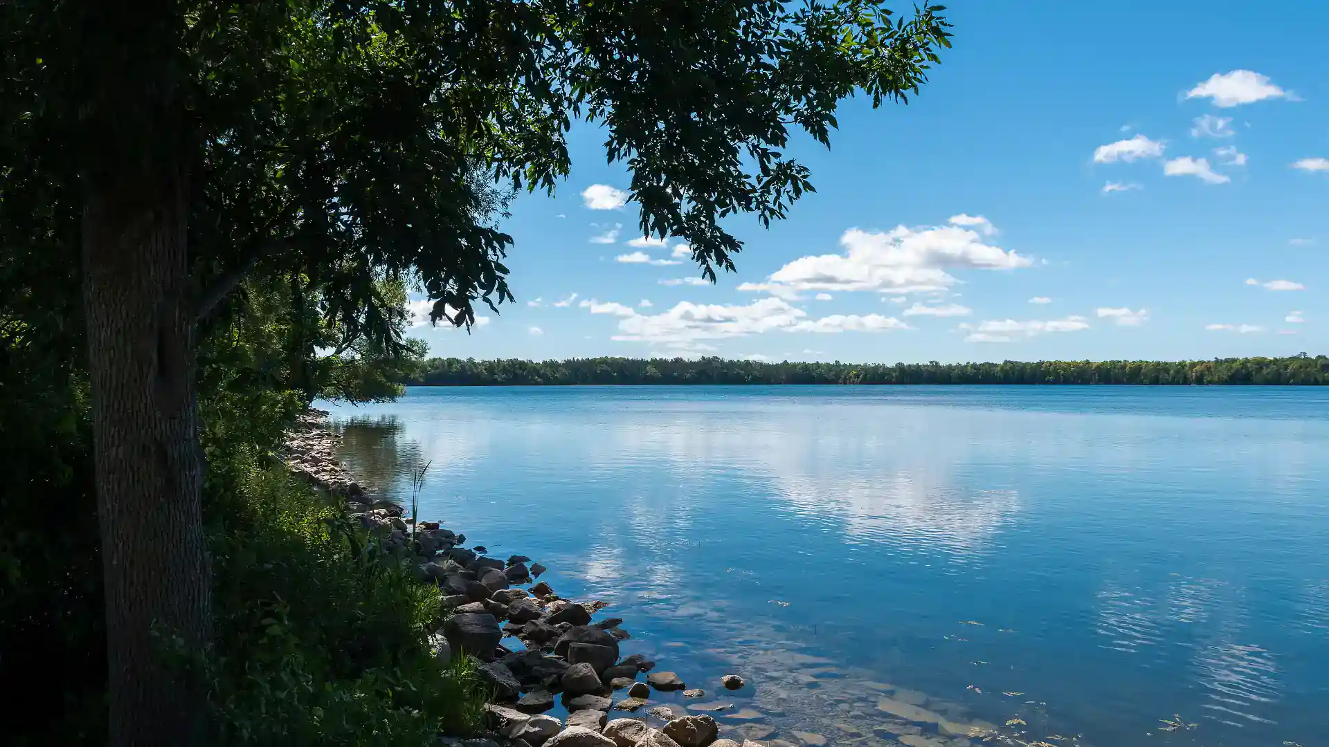 Scenic view of a calm blue lake in Prince Edward County, Ontario, featuring a rocky shoreline, lush green trees in the foreground, and a bright blue sky with scattered white clouds.
