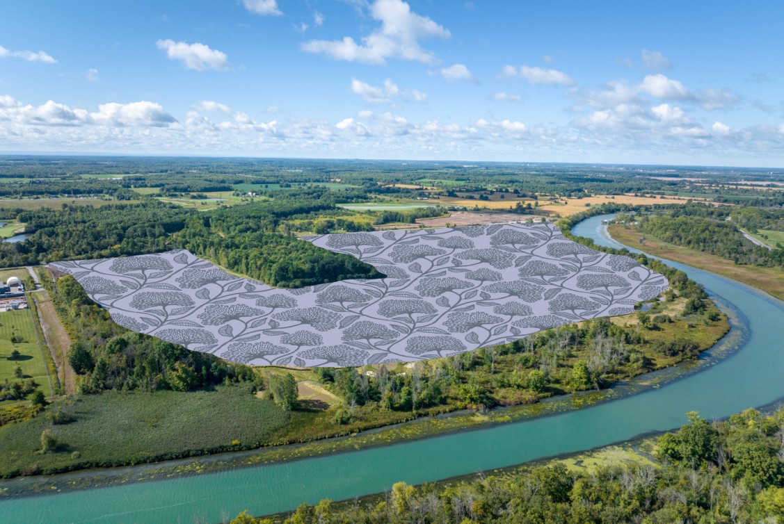 Wellwood – Aerial (2)