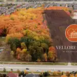 Aerial view of the Vellore Trails community site during autumn, showing a highlighted development land parcel adjacent to a lush forest with vibrant fall colors and surrounding residential neighborhoods.