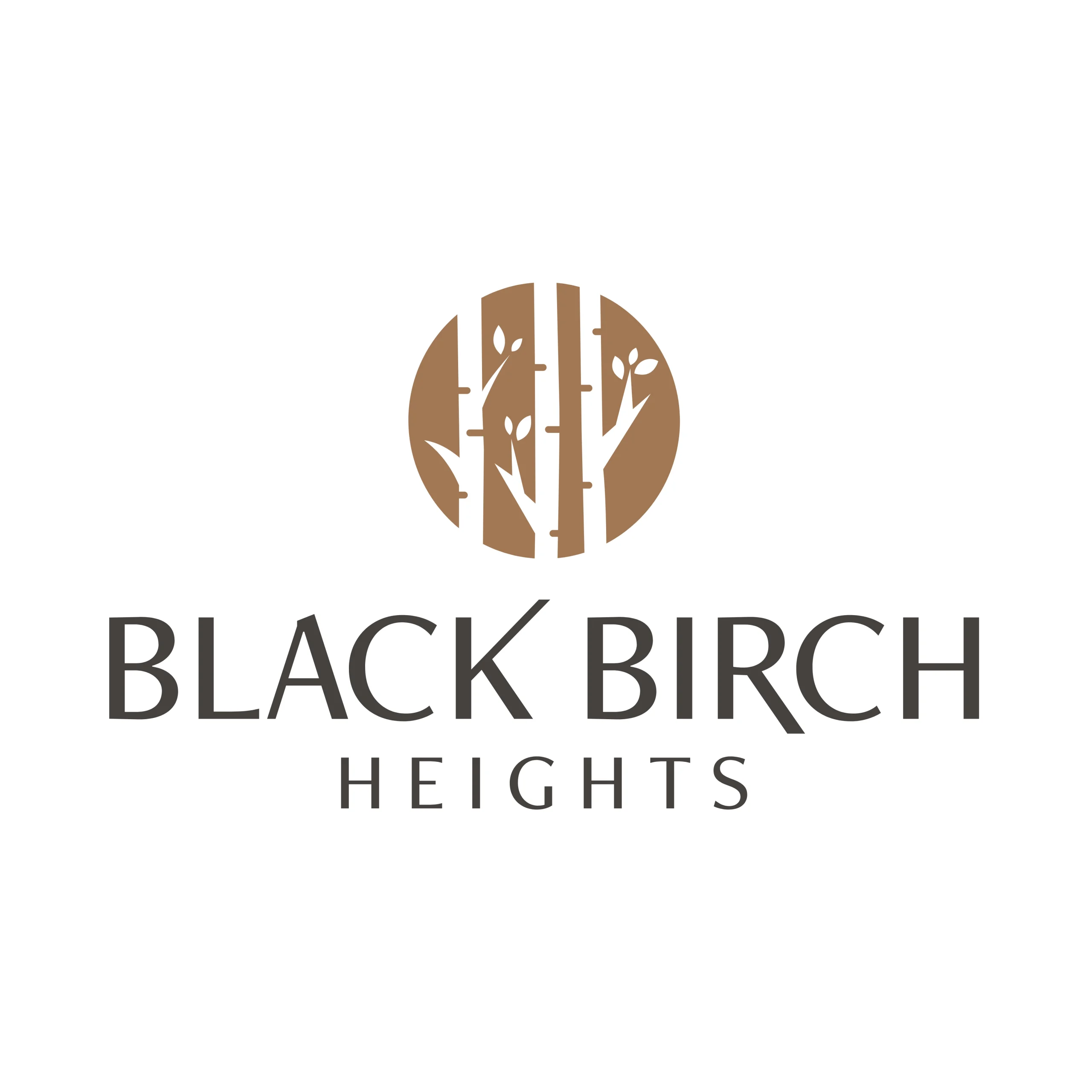 Black Birch Heights
