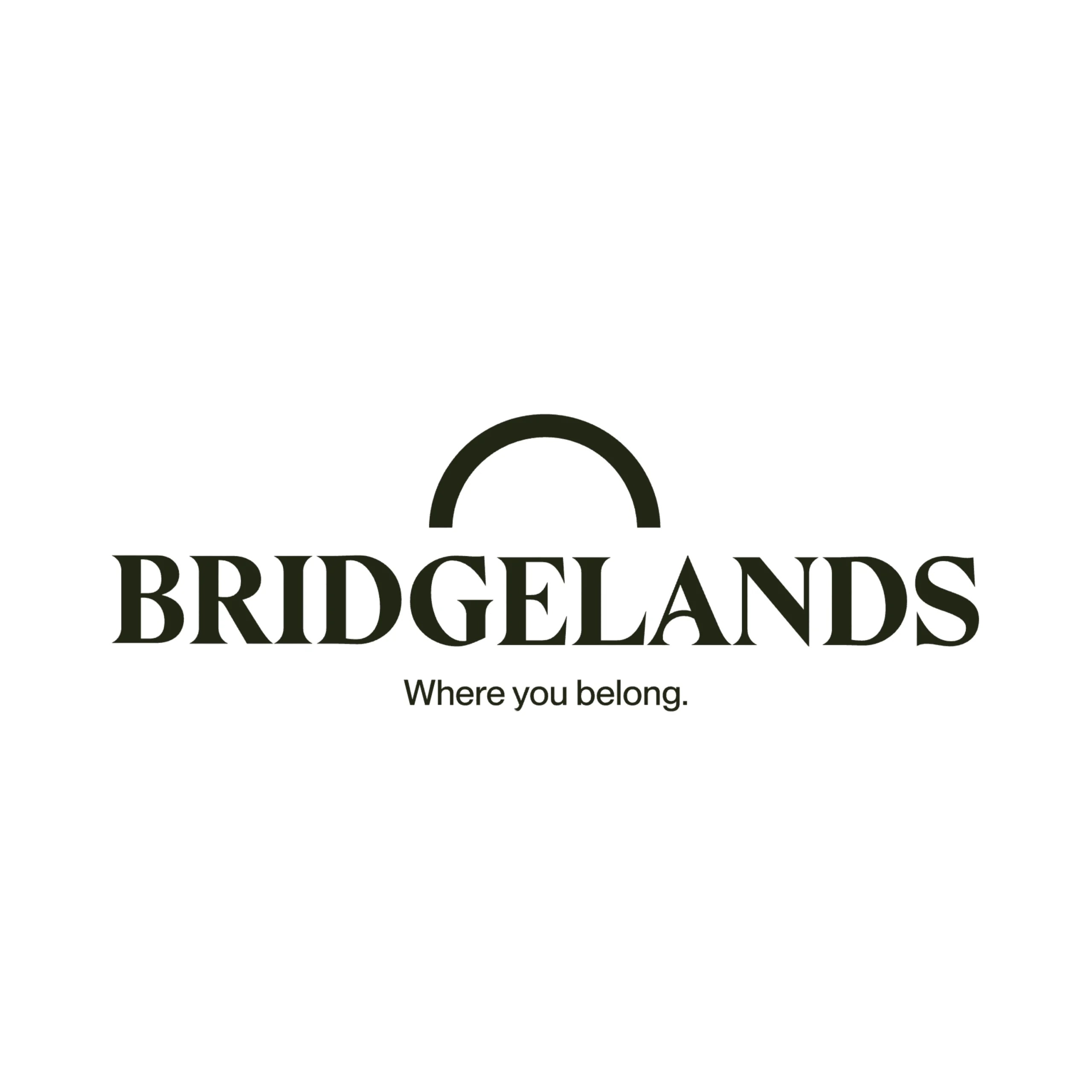 Bridgelands