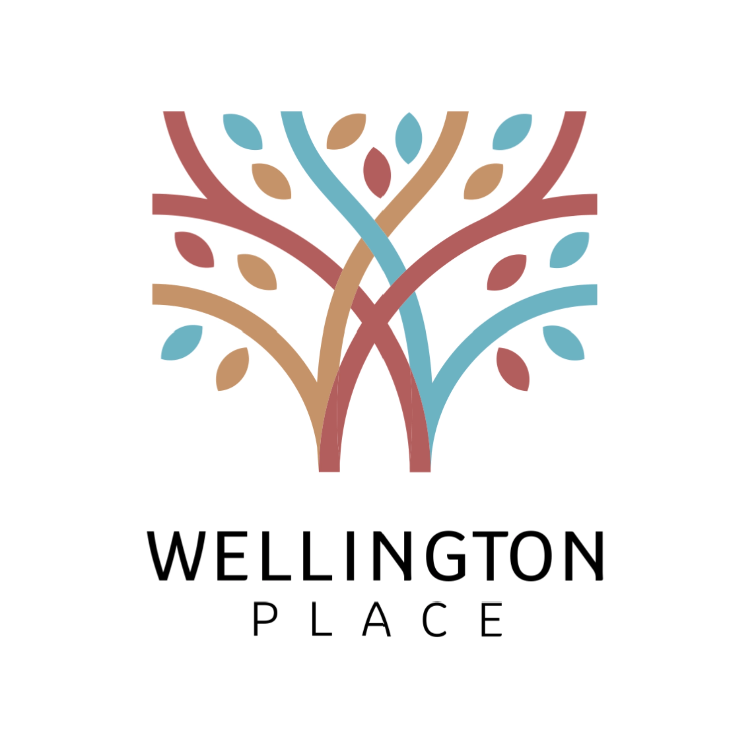 Wellington Place
